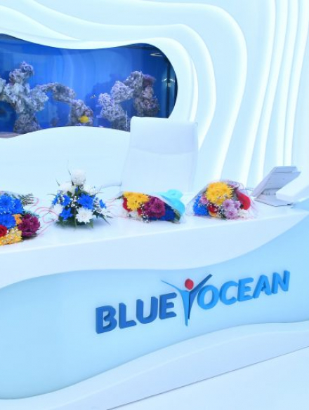Blue Ocean Academy