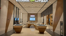 Etisalat International City
